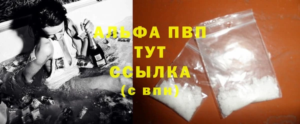 PSILOCYBIN Верея
