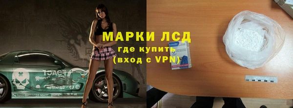 PSILOCYBIN Верея